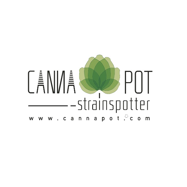 Avatar: Cannapot