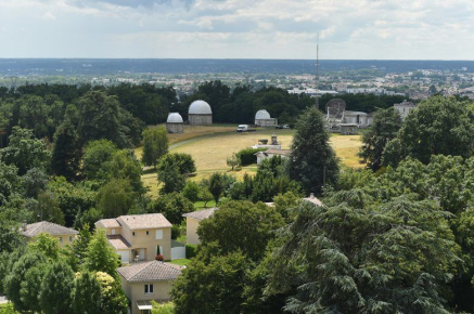 Forêt et arbre en ville