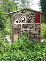 Hôtel_à_insectes